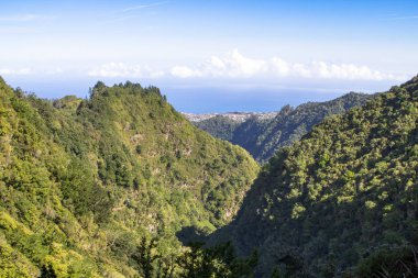 Panorama görünüm dağ yağmur ormanı, Madeira, Portekiz