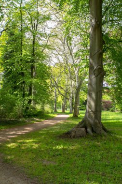 Potsdam, Almanya için royal park Sanssouci
