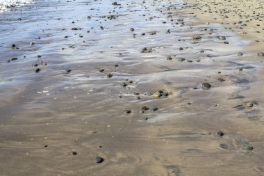 Deniz taşlı kumsal