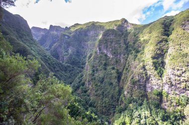Panorama görünüm dağ yağmur ormanı, Madeira, Portekiz