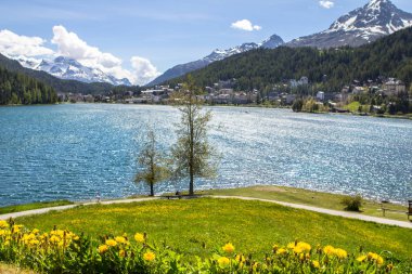 Alp yatay, St Moritz Gölü, İsviçre