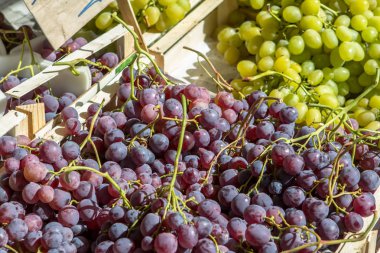 piyasada üzüm