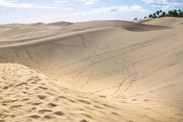 Deserto da Duna de Areia de Maspalomas, Grande Canária — Fotografia de Stock