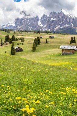 South Tyrol, İtalya Dolomites içinde Langkofel (Sassolungo) monte