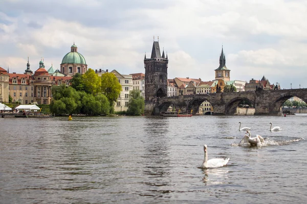 查看布拉格的查理大桥和 St. Nikolaus 教堂 — 图库照片