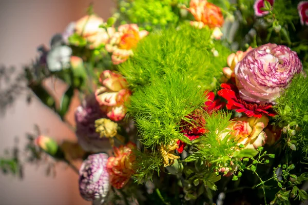 Kolorowy bukiet kwiatów — Zdjęcie stockowe