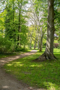 Potsdam, Almanya için royal park Sanssouci