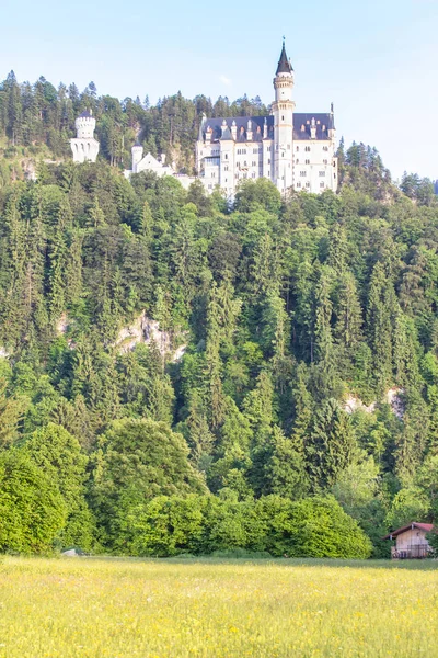 Kasteel Neuschwanstein in Duitsland — Stockfoto