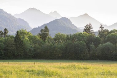 tipik dağ manzarası