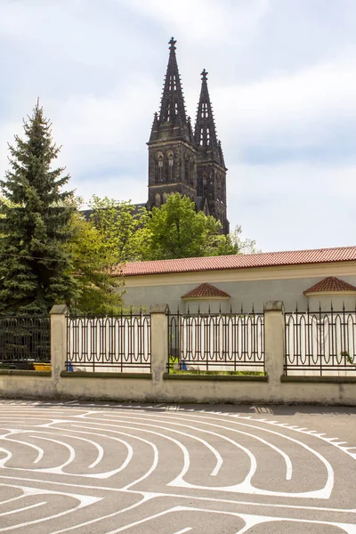 布拉格圣彼得和保罗大教堂 — 图库照片