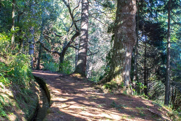 Levada de Caldeirao Verde, Madeira — Fotografia de Stock