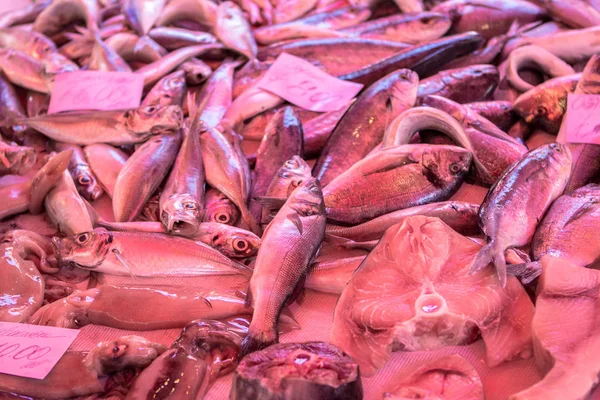 Frutos do mar no mercado do peixe — Fotografia de Stock