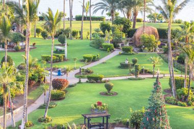 Gran Canaria üzerinde yeşil park