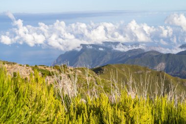 Dağ manzarası Madeira, Portekiz