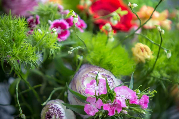 カラフルな花の花束 — ストック写真