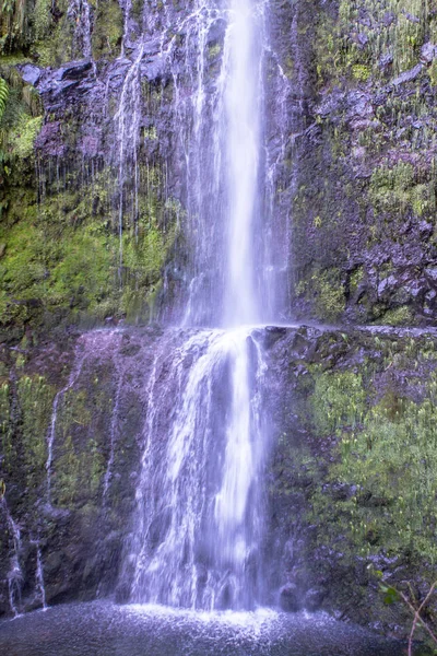Waterfall on Levada Caldeirao Verde, Madeira, Portugal — 图库照片