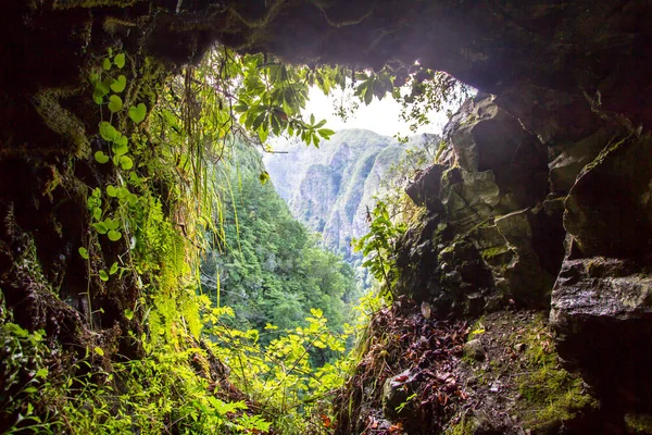 Vista panorámica de la selva tropical de montaña, Madeira, Portugal — Foto de Stock