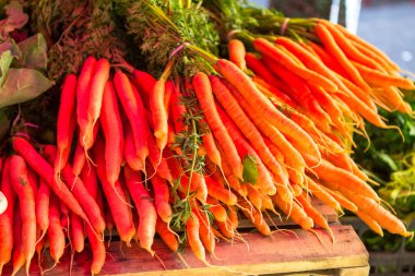 Bahçeden çiğ havuç.  