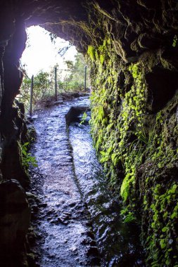 Levada Caldeirao Verde, Madeira