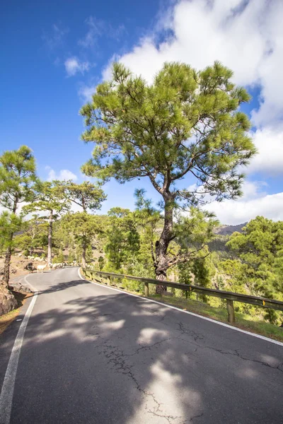 Camino sinuoso en las montañas — Foto de Stock