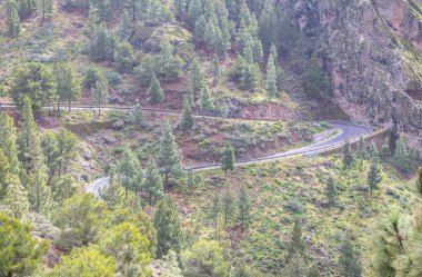 Dağlardaki Dönemeç Yol