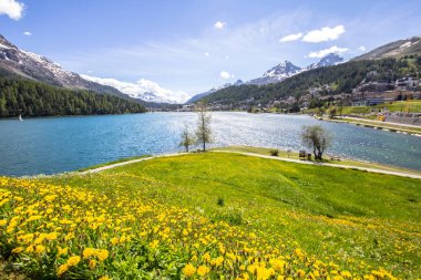 Alp yatay, St Moritz Gölü, İsviçre