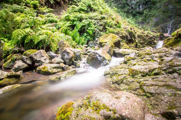 Waterfall on Levada Caldeirao Verde, Madeira, Portugal — Stock Fotó