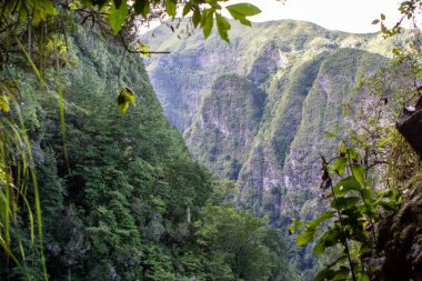 Panorama görünüm dağ yağmur ormanı, Madeira, Portekiz