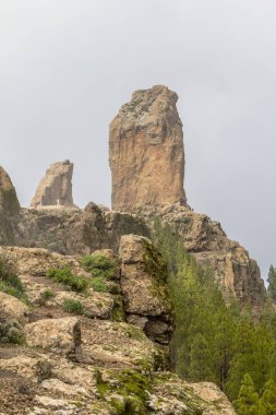 Gran Canaria 'da roque nublo
