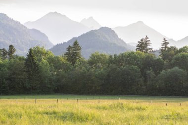 tipik dağ manzarası