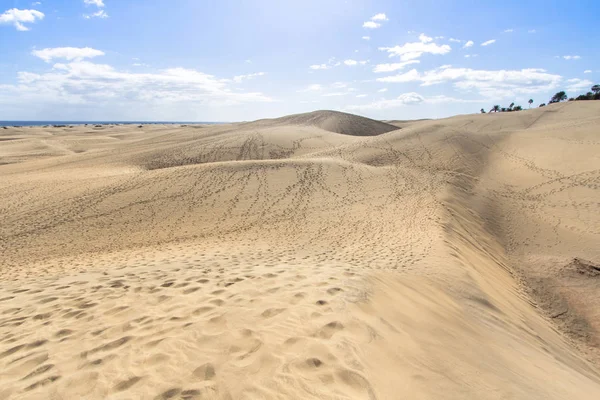 Afrikanska Europeiska Sanddyn Öknen Maspalomas Gran Canaria Spanien — Stockfoto