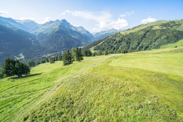 Pastoral yaz manzara Alpleri'nde — Stok fotoğraf