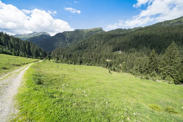 Wandelpad in Alpen — Stockfoto