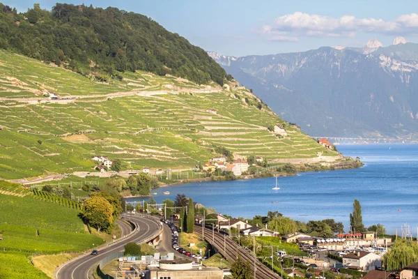 Αμπελώνες στην περιοχή lavaux, Ελβετία — Φωτογραφία Αρχείου