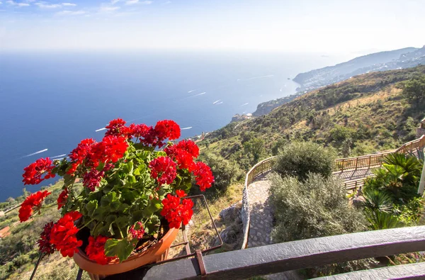 Flower pot on the viewpoint to the Amalfi coast, Italy — Stock Photo, Image