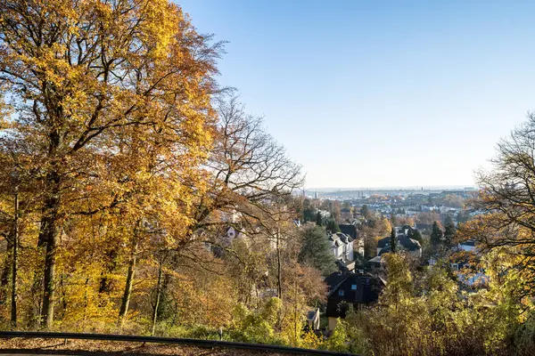 Färgglad höstpark med träd i Wiesbaden, Tyskland — Stockfoto