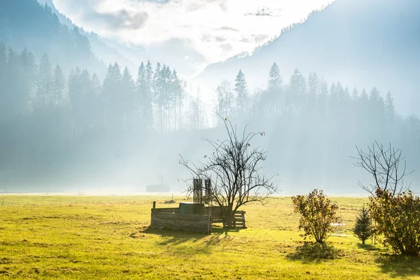 Alp çayırında gün doğumu — Stok fotoğraf