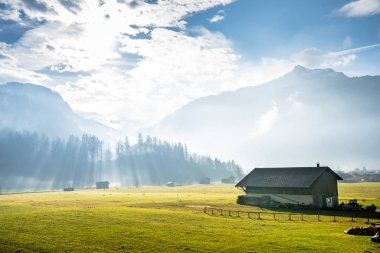 Alp çayırında bir kulübe 