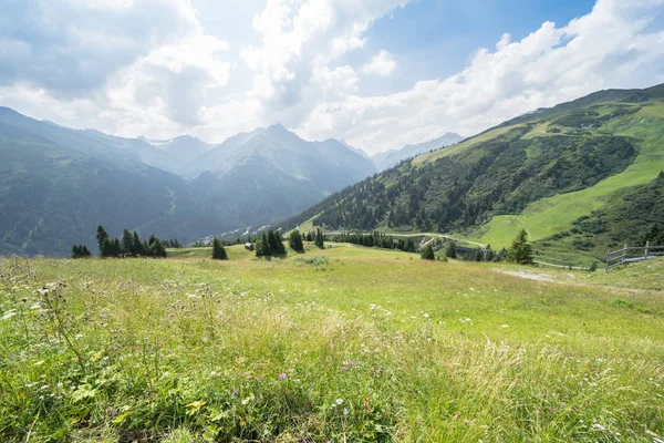 Pastoral yaz manzara Alpleri'nde — Stok fotoğraf