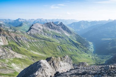 Pastoral yaz manzara Alpleri'nde