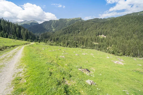 Hiking path in Alps — Stock Photo, Image