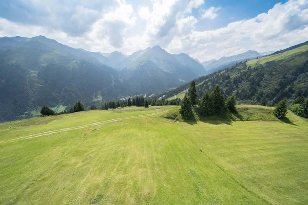 Pastoral yaz manzara Alpleri'nde — Stok fotoğraf