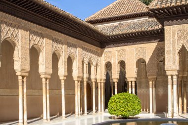 İspanya, Alhambra Granada 'daki Aslanların avlusu.