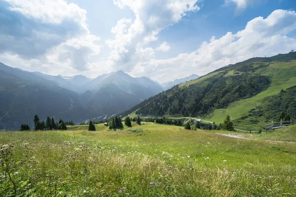 Idyllinen kesämaisema Alpeilla — kuvapankkivalokuva