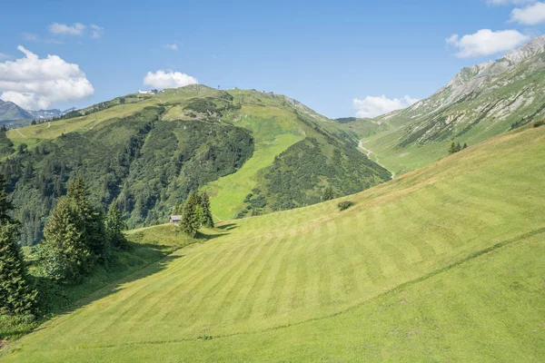 Paisaje idílico de verano en los Alpes —  Fotos de Stock