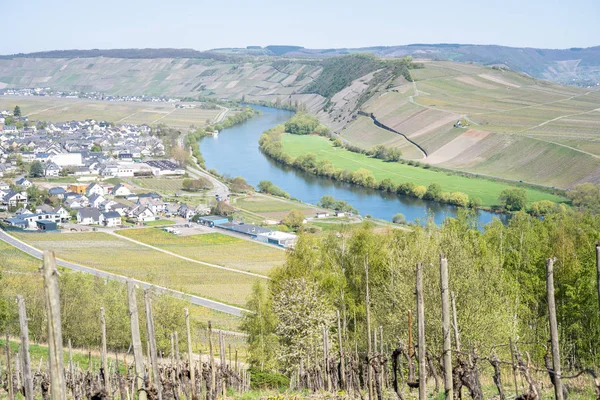 Mosellandschaft und Weindorf, Deutschland — Stockfoto