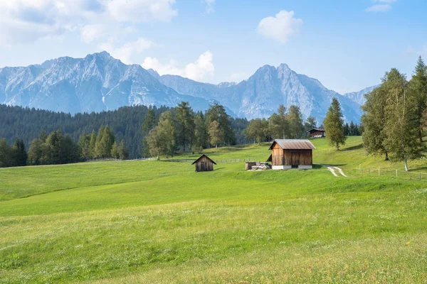 Alpine meadow in mountains — Stock Photo, Image