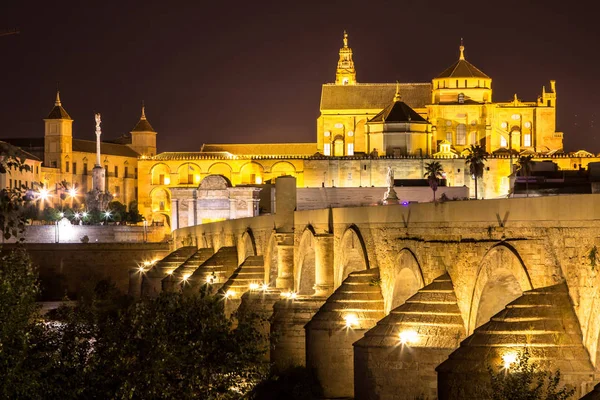 Nattutsikt över Mezquita och Romerska bron i Cordoba, Spanien — Stockfoto