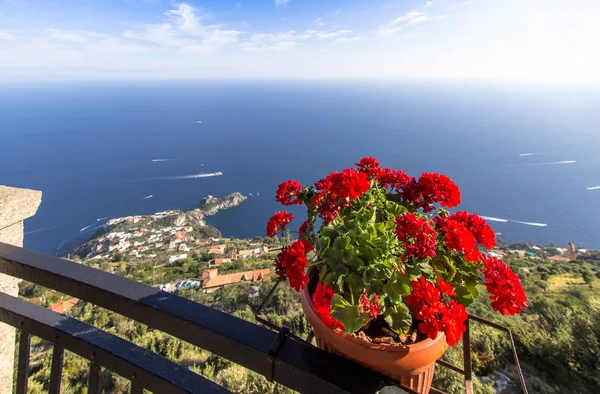 Flower pot on the viewpoint to the Amalfi coast, Italy — Stockfoto