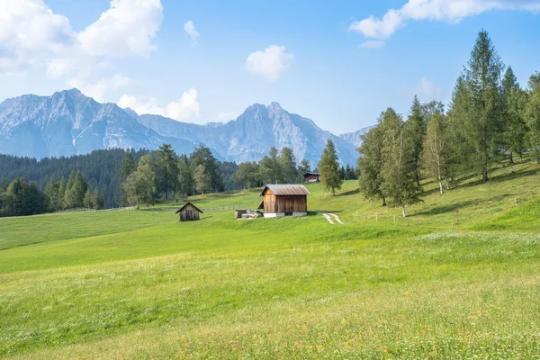 Alpenweide in de bergen — Stockfoto